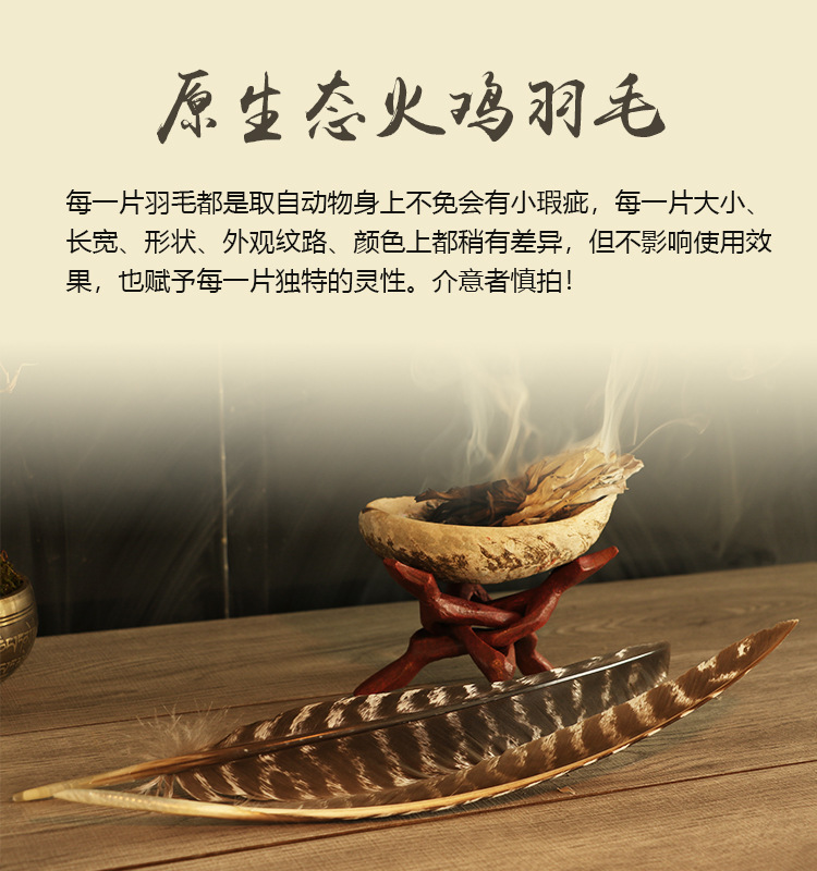 美国加州黑火鸡羽毛白鼠尾草净化引导羽毛风元素祭坛仪式圣品 图 4