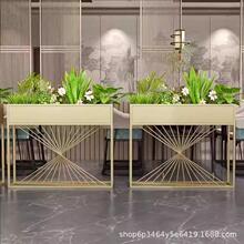 ���⻨�仨����[�̘I���ۘǲ���偵��L���νM�ϸ��໨ˇ����