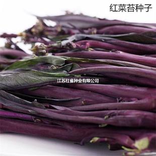 ɢ�b�t��̦�N����ɫܿ�t��̦���Ĳ�ʮ�¼t�ϲ�̦�ľŲ��ķN�����l