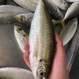 �T�E�~ �����~ �r���ͻ�������~ �r����������ζ  ���������֭