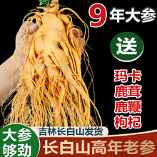 优品长白山新鲜人参煲汤泡酒园参东北土产吉林人参产地l