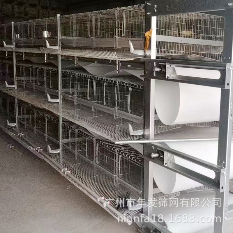 广州框架蛋鸡笼出口非洲蛋鸡饲养一体化笼具全自动清粪铁丝网笼