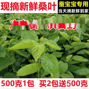 ���rɣ�~�Q�����W���B�Q����ɣ�~�����ժɣ�~���rʳ��ɣ�~ι�Q�S