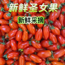 ����}Ů��С���t��С�����Ǻ��J�}Ů��ӲƤС���ё���ˮ�����]
