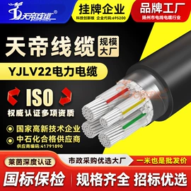 特种电缆;控制电缆;网络线