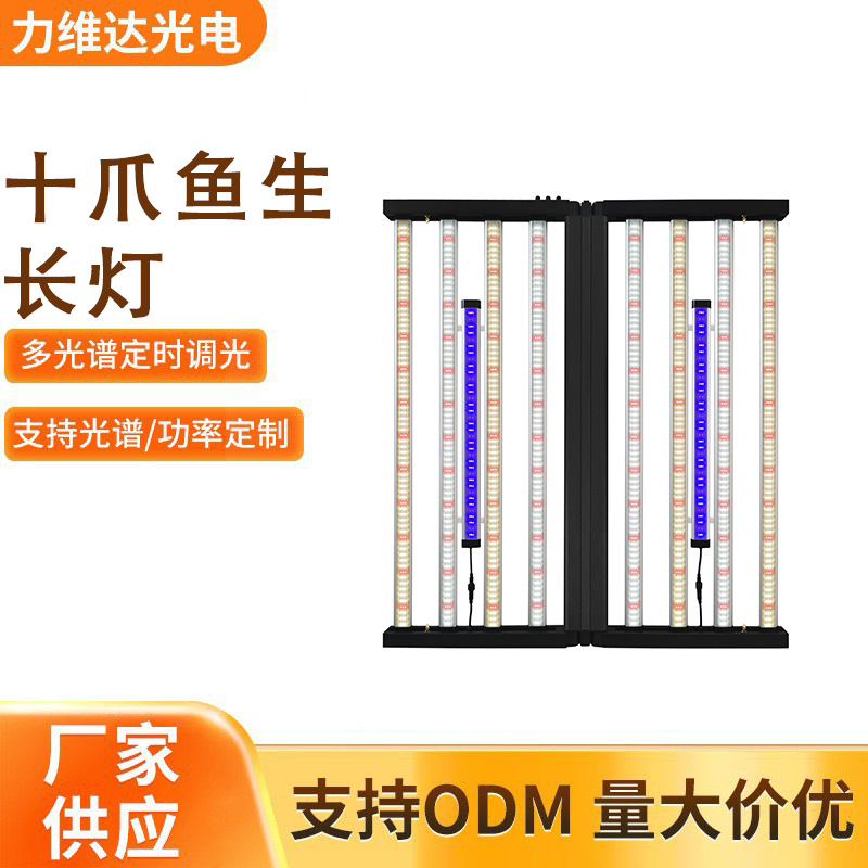 ֶ֧LEDֲצ630W720W IP65ˮȫ۵ƴӵư