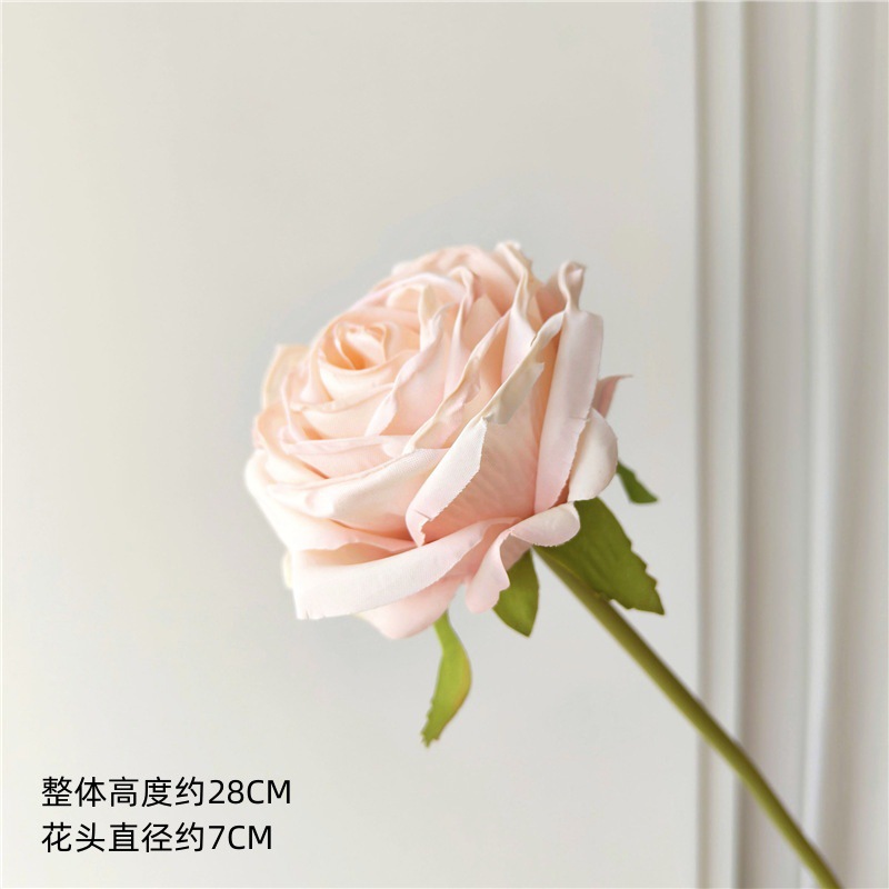 가벼운 분말 건조 구운 작은 장미