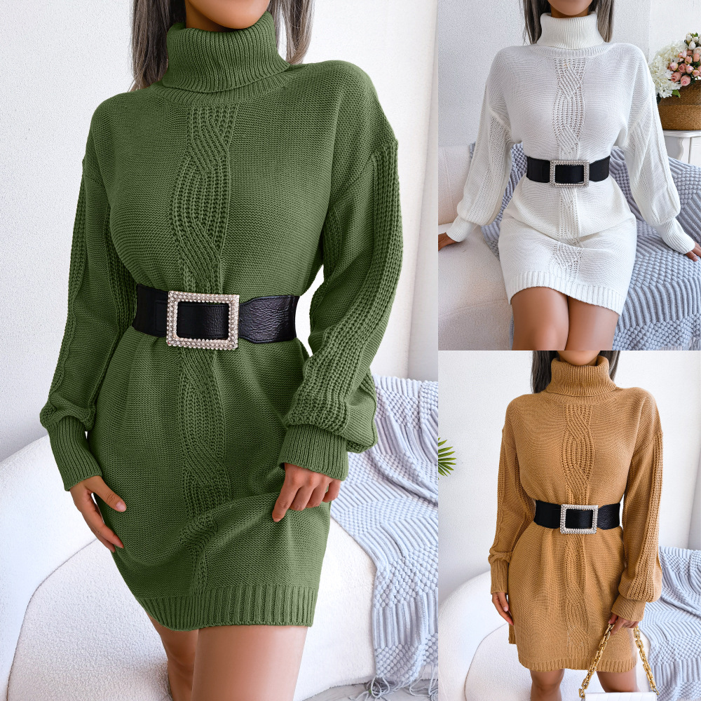 Women's Sweater Dress Casual Turtleneck Long Sleeve Solid Color Above Knee Street display picture 1