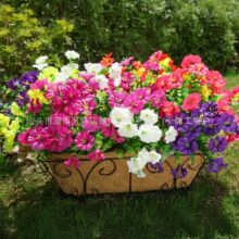 �羳���R�d7�^���栿ţ�������������Ȼ��Ҿӑ����bٻ����ϻ�
