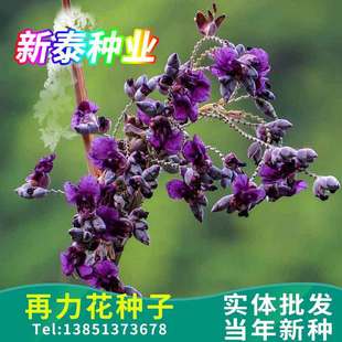 �������N��ˮ��ֲ��ǧ���˻��~�J�������JȔˮ�[���~���Sβ�N����