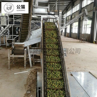 加工定制 夏威夷果 成套生产线 全自动流水线 设备厂家供应
