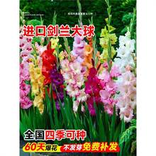 MڄmNл҃ͥԺѷNļ׻ͺֲ