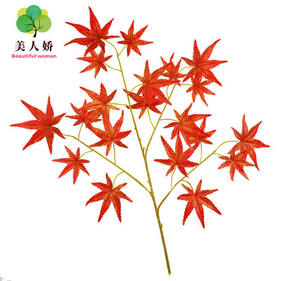 simulation Multicolor Single Maple leaves Root Green plant branch Red Maple Leaf Wedding celebration Jubilation shot background