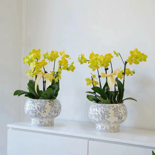 ����ʽ�����m���û���߶��໨�ɻ�ƿС̖�����մɼ����m���Ļ���