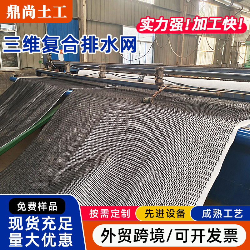 三维复合排水网垃圾填埋用复合排水隔离垫路基挡土墙三维土工网垫
