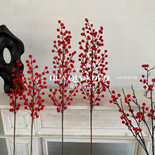 �lؔ���t�����涬����������Ҿ��b[���t�{�����滨�S�����l