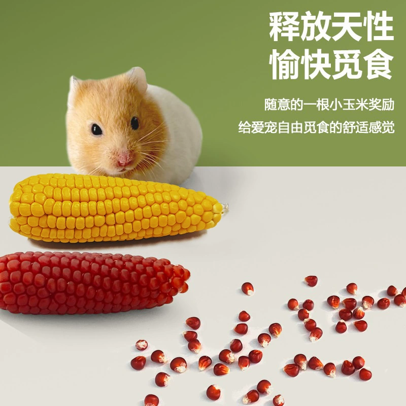 Тоторо Молярный Мини Маленький Кукурузный Хомяк Золотой Медведь Молярная Палка Кролик Голландская Свинья Натуральные Молярные Закуски