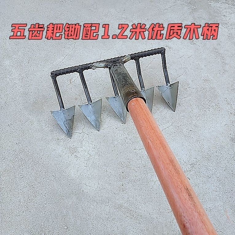 1.2m 고품질 목재 손잡이가 있는 5톱니 갈퀴 이