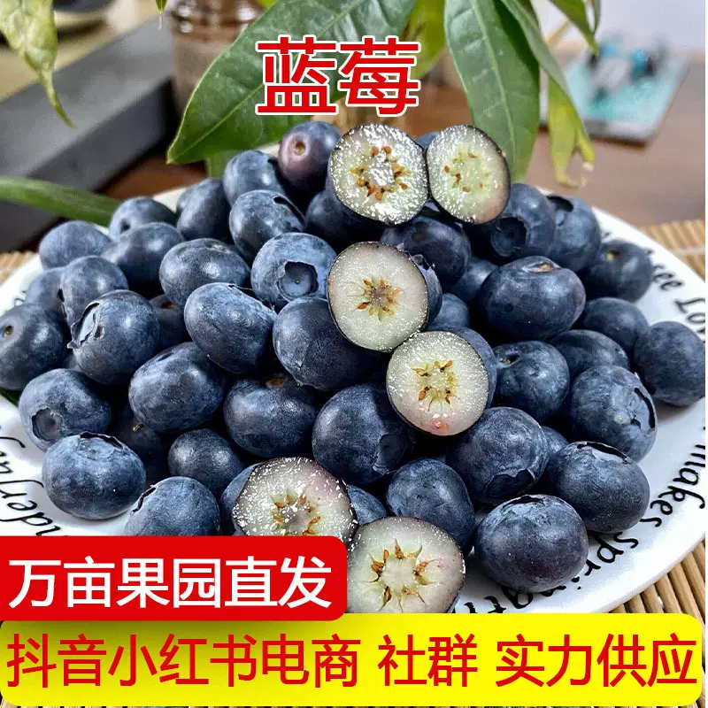云南怡颗莓红土蓝莓L25脆甜玫瑰花香蓝莓爱莓庄迷迭蓝皇冠大蓝莓