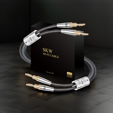 SKW��Ş���y���������Ⱦ��㽶�^Y��U�����Ⱦ�Hi-Fi����đ�C�����