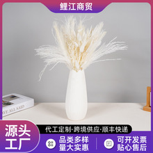 �羳���N���R�dС�JȔ��β�ݷ��mС��Ȕ�Ҿ��bɻ�����������