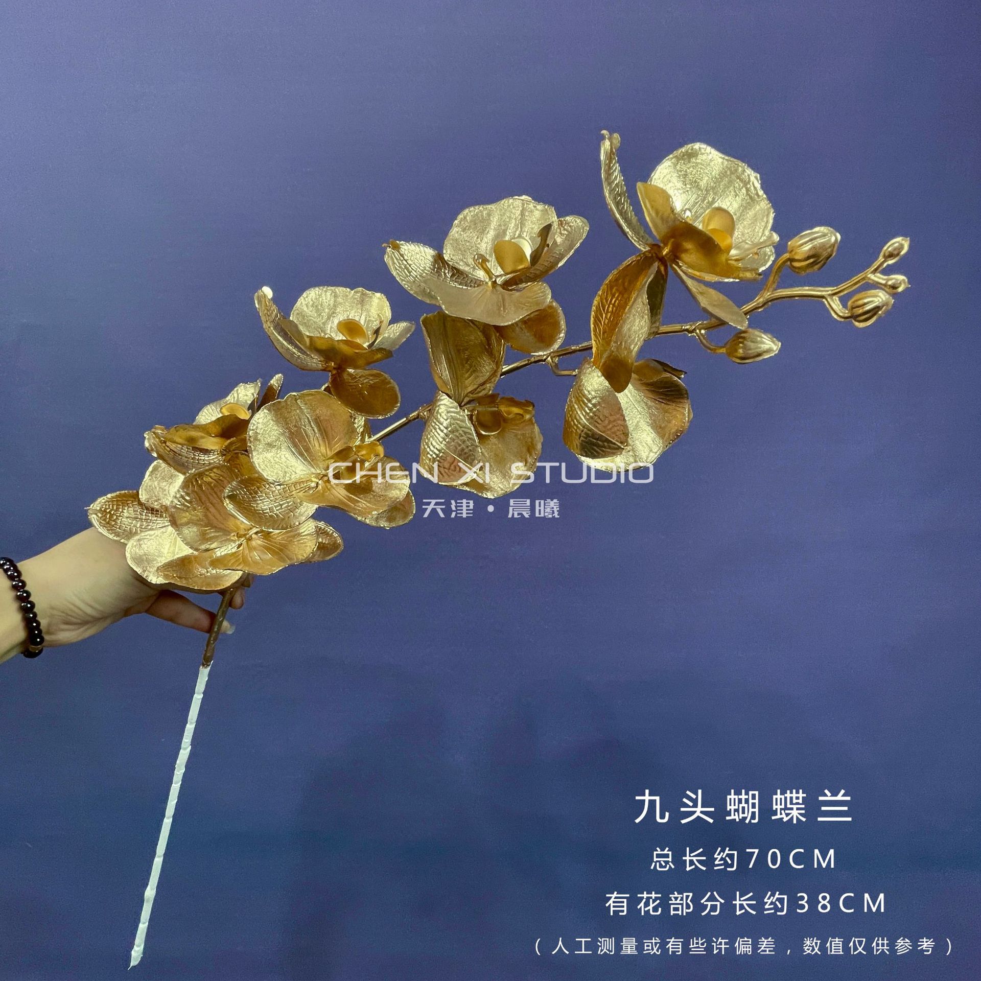 9 phalaenopsis