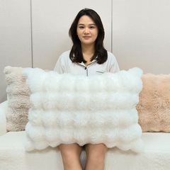 芯なしの両面ベルベット枕カバー、軽い高級感とハイエンドのイミテーションウサギのぬいぐるみ背もたれ、出窓、リビングルームのソファクッション。
