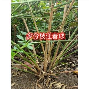 ӭ���������B�N���䅲�����֧����ͥԺ�̨���Ժ�߅�G����������