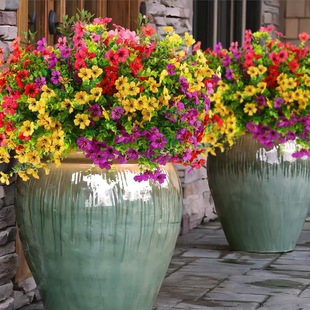 Simulated flowers Violet anti-UV UV artificial green plants Home hotel decoration shooting props wholesale immortal flowers