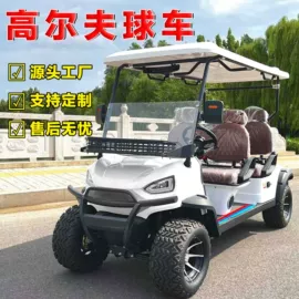 电动观光车;高尔夫球车;其他电动车