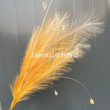 7���JȔ��ë���滨��Y�È��������b����·���߼��б���ٻ�