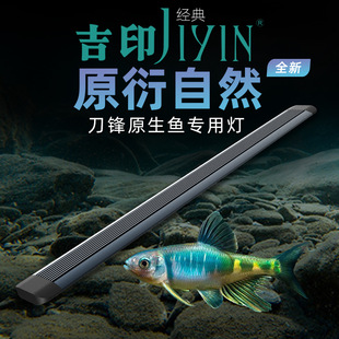 Jiyin Original Stream Tank Light, Algae-Killing Light, Waterproof Led Aquarium Light, Submersible Light, Algae-Killing Magic Tool