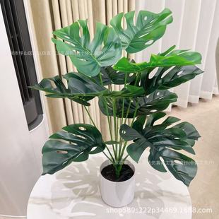 ���W�����������҃ȷ���Gֲ���Ԕ[���Ƶ��b������ϾGֲ�٘�