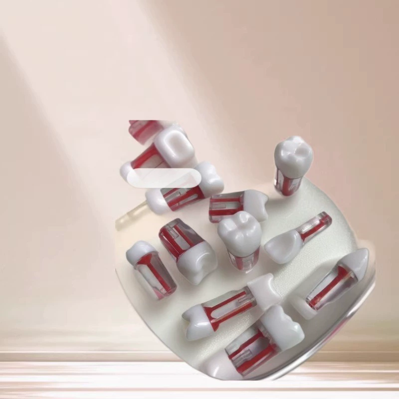 Учебный зуб для стоматологического обследования: зуб с изолированным корневым каналом, удаление пульпы, зуб с полостью для пульпы, зуб для обучения, зуб для обучения лечению корневых каналов