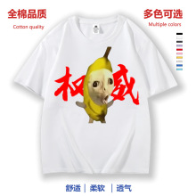 ��������ȭ�^С؈����t��W���l�o��ȭ�^�z�^������д�ͯ���·�