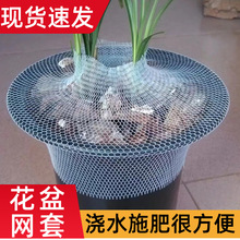 厂家现货兰花盆植料保护网套塑料保护兰花高弹性网套花盆包装网套