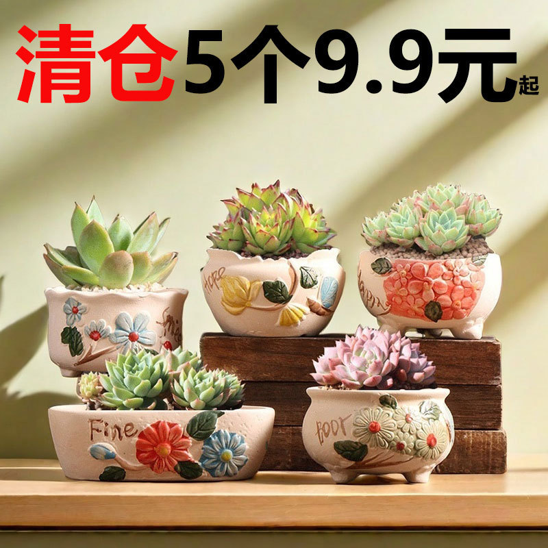 Succulent Flower Pots for Home Use, Large and Small Sizes, Plain Ceramic Pots, Creative Root-Controlling Flower Pots, Ceramic Flower Pots, Clearance Sale Wholesale