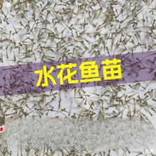 ˮ�����~�~�����~�~���l�N������~�����~�����~���^���a�~����