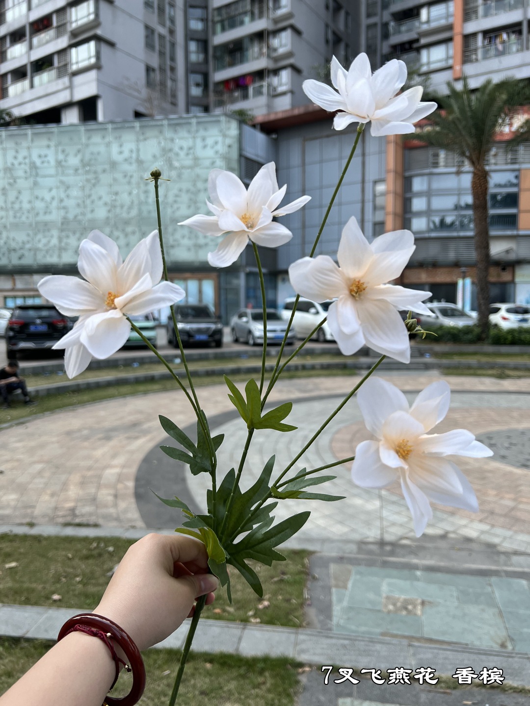 샴페인
