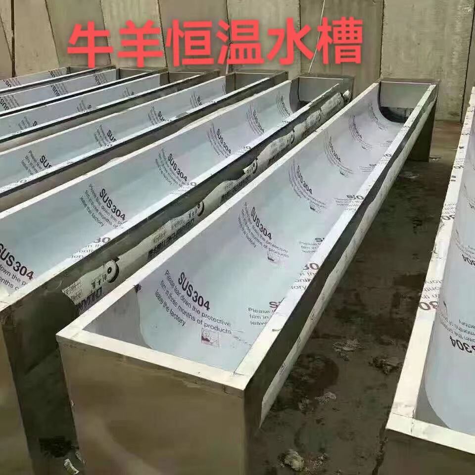 Agua potable de acero inoxidable a temperatura constante calentamiento eléctrico de alimentación automática de agua gruesa de doble capa de agua potable de invierno