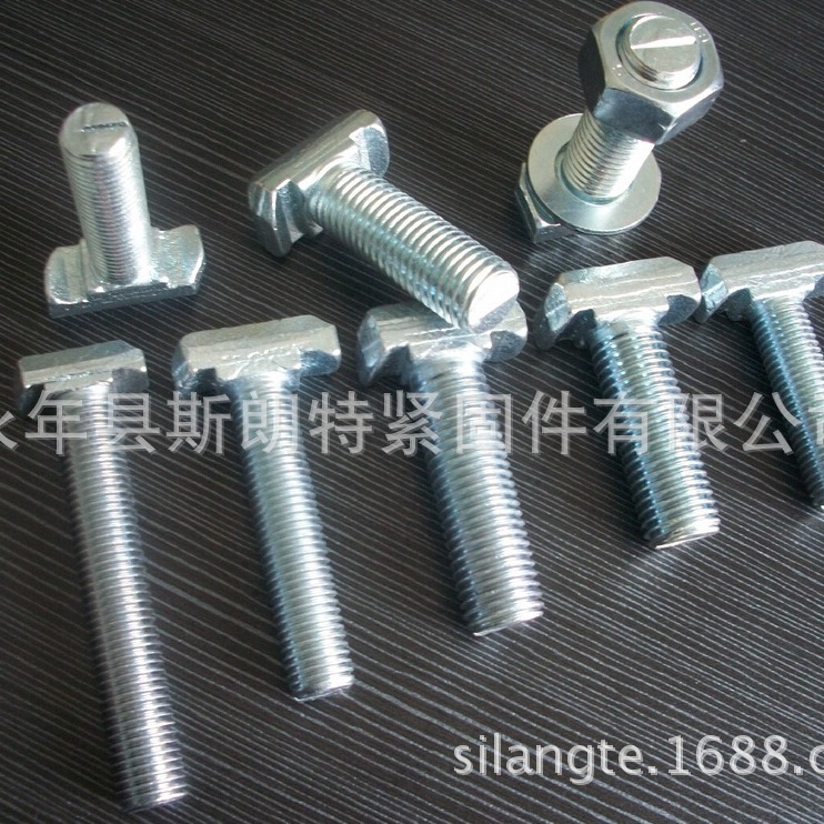 DIN787T����˨ ����T��˨ T����˿ T����˨ ������˨ T���ݶ���ͷ