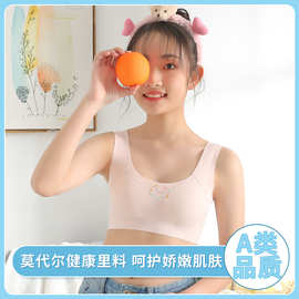 一二三阶发育少女文胸学生无痕冰丝内衣文胸背心青春发育期内衣