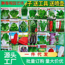 一件代发蔬菜种子四季播种阳台农家庭院盆栽生菜菠菜韭菜香菜草莓