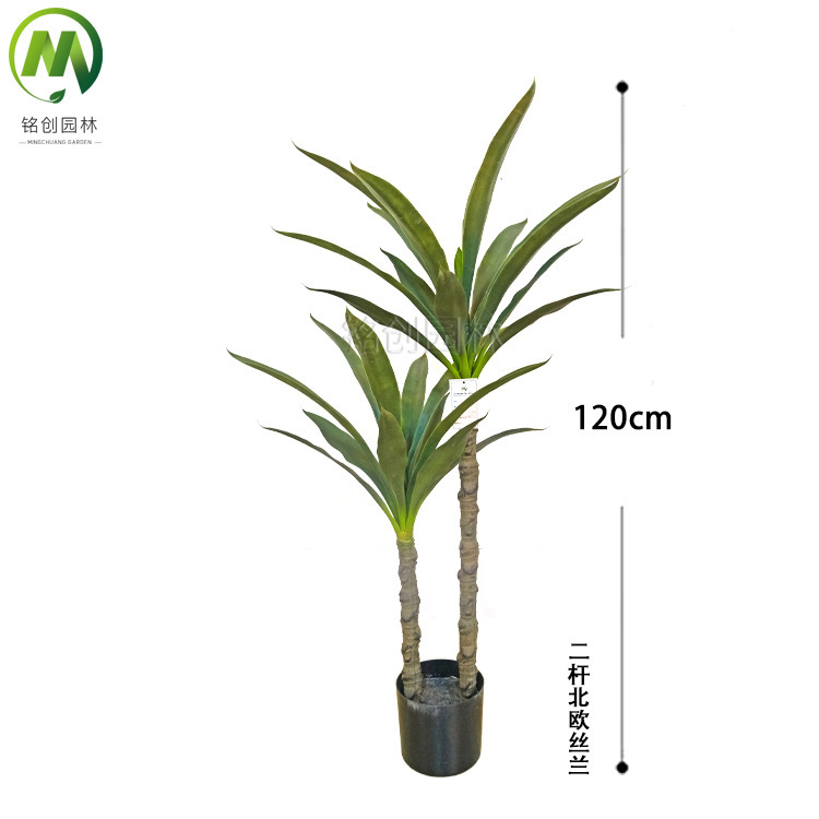 120cm yuca de dos varillas