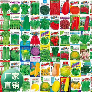 ���l�߲˷N���̨��������S���������t����ݮ�²����ԷN��