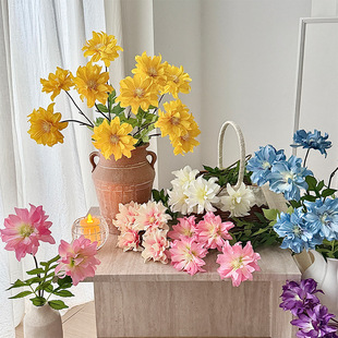 �߼���2�^���������滨�ٻ��Ҿӿ͏d�����b���c�����Ĕz����