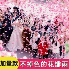 �����ꇊ��Ͳ�Y��Y�ڻ�Y�ֳֶYͲ�ڶY��Ͳ�ʎ�������c��Ʒ��