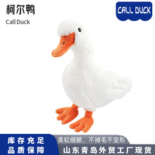 ���R�dͬ���������ë�q��߄�����u���О��u���u��ż�F؛���l