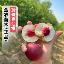 �Ҙ���޽����闗���Ҙ���O�����������12̖���ϱ����Nֲ������