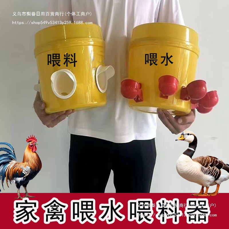 鸟鸡鸭家禽下鹌鹑饮水器家禽饮水碗全自动新款鹅养殖喂食器鸡鸭料